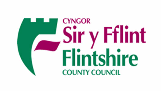 flint council