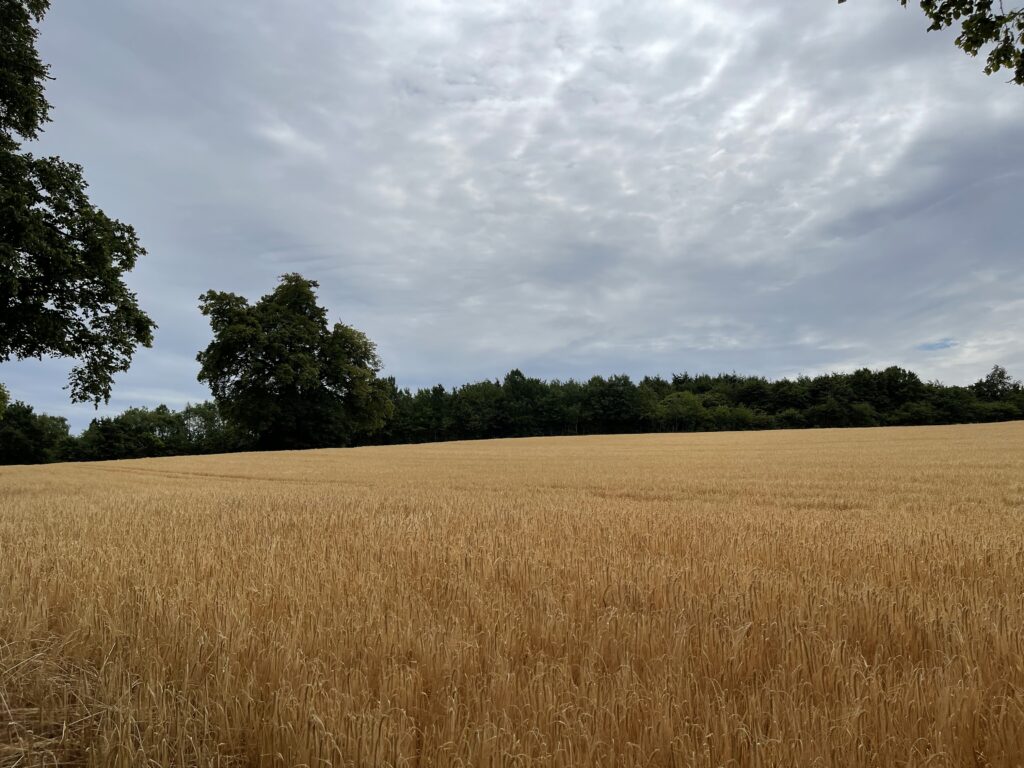 Strelley to Redhill Pipeline