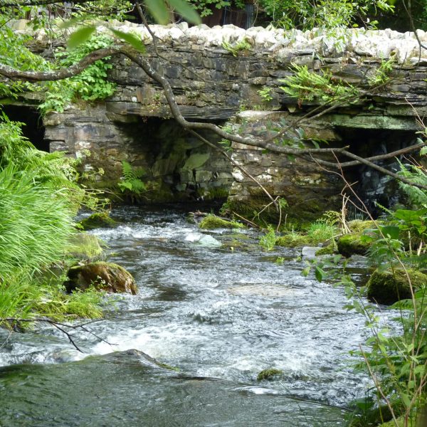 Environmental management