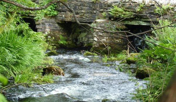 Environmental management